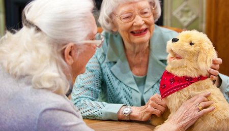 Interactieve hond dementie
