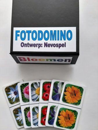 Fotodomino