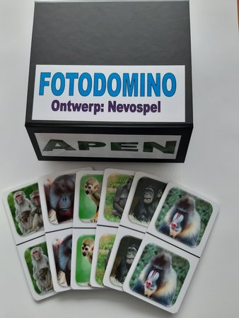 Fotodomino