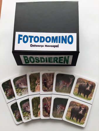 Fotodomino