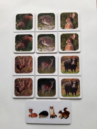 Fotodomino