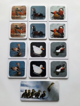 Fotodomino