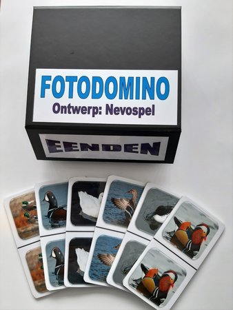 Fotodomino