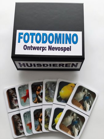 Fotodomino