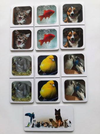 Fotodomino