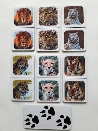 Fotodomino