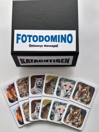 Fotodomino