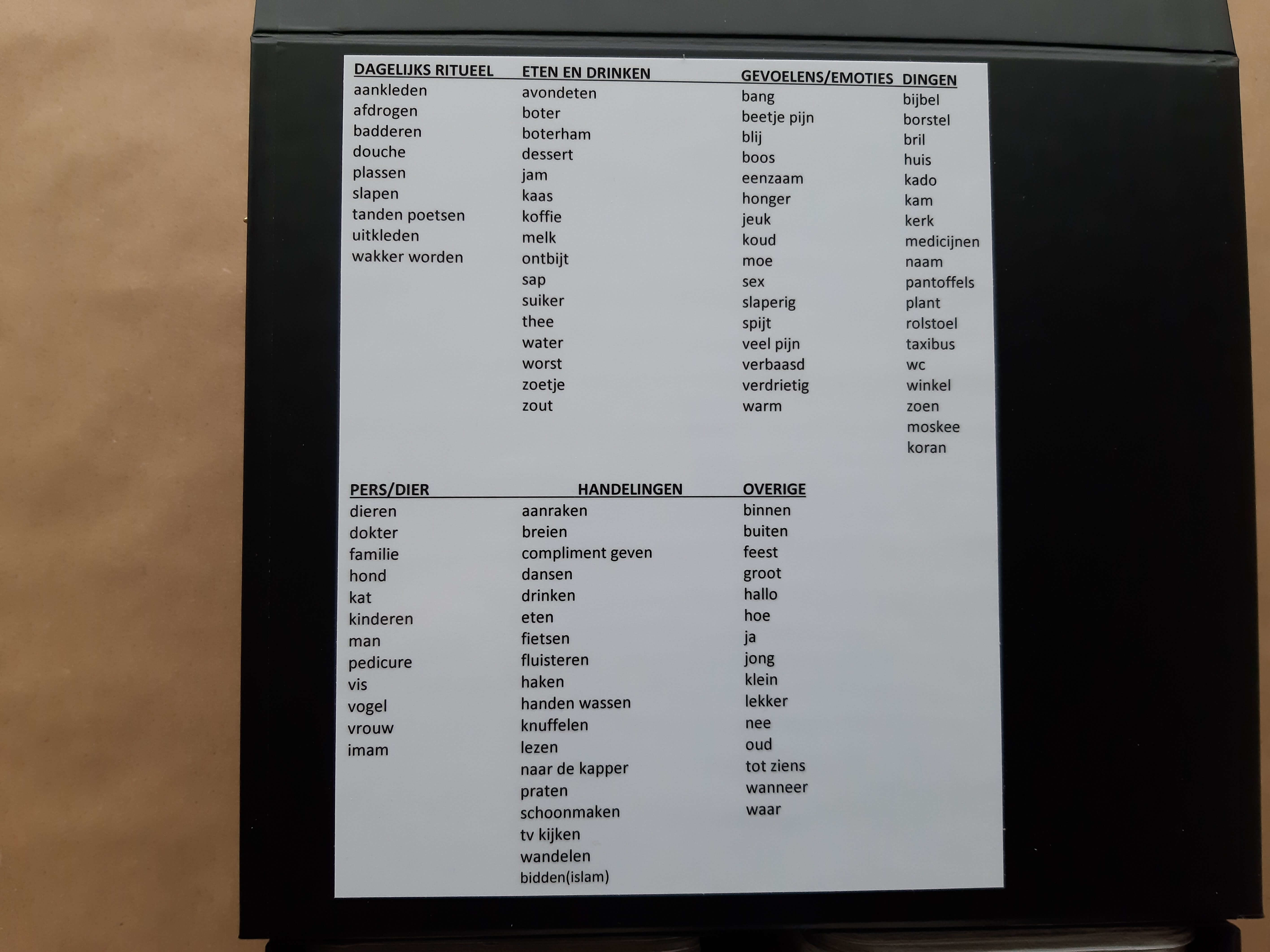 Communicatiemiddel Picto-100